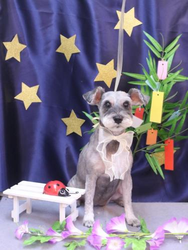 20230730ぽんずちゃん